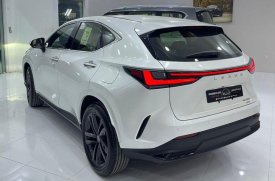 Lexus, NX, 350, 2023