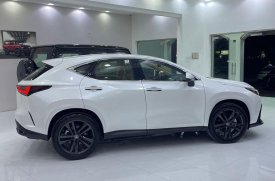 Lexus, NX, 350, 2023