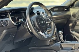 Ford, Mustang, 2019