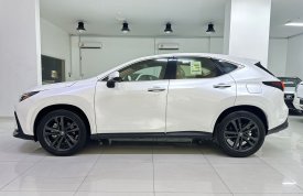 Lexus, NX, 350, 2023