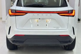 Lexus, NX, 350, 2023